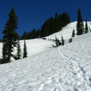 Mt Rainier CP Muir(2009,05,30)
