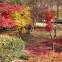 서울시립대 08년 가을 정문-호숫가-중앙도서관