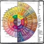 flavor wheel