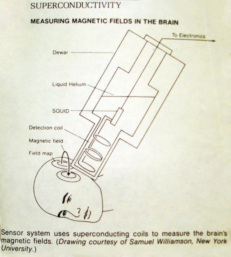 The Modular Man : 줄거리, 등장인물 및 용어 설명 : 네이버 블로그