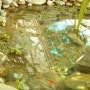[지리산][청학동]백암산장 연못입니다 .