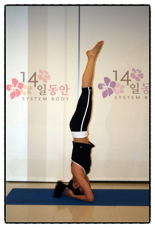 핫요가 다이어트 14일동안 - 요가의 왕이라 불리는 물구나무자세 : 네이버 블로그