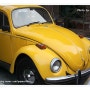 Old Beetle