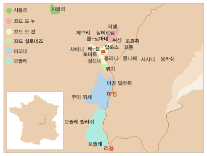 피노 누아 부르고뉴 (Pinot Noir Bourgogne)