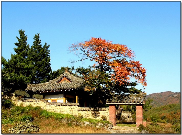 아무나 퍼갈 수 있는 뒤주 : 네이버 블로그